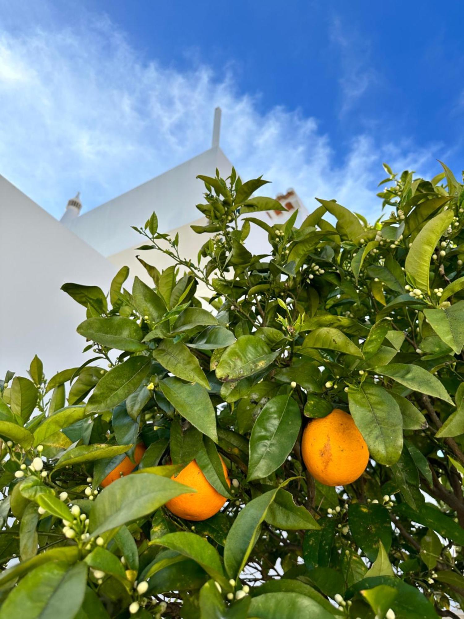 Casa Malia Luxury Guest House Luz Esterno foto